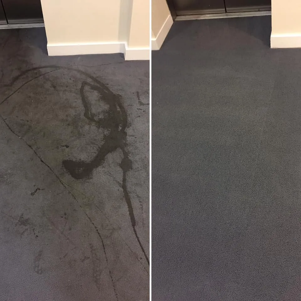 before and after large stain removal carpet