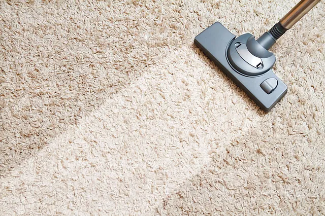 carpet cleaning